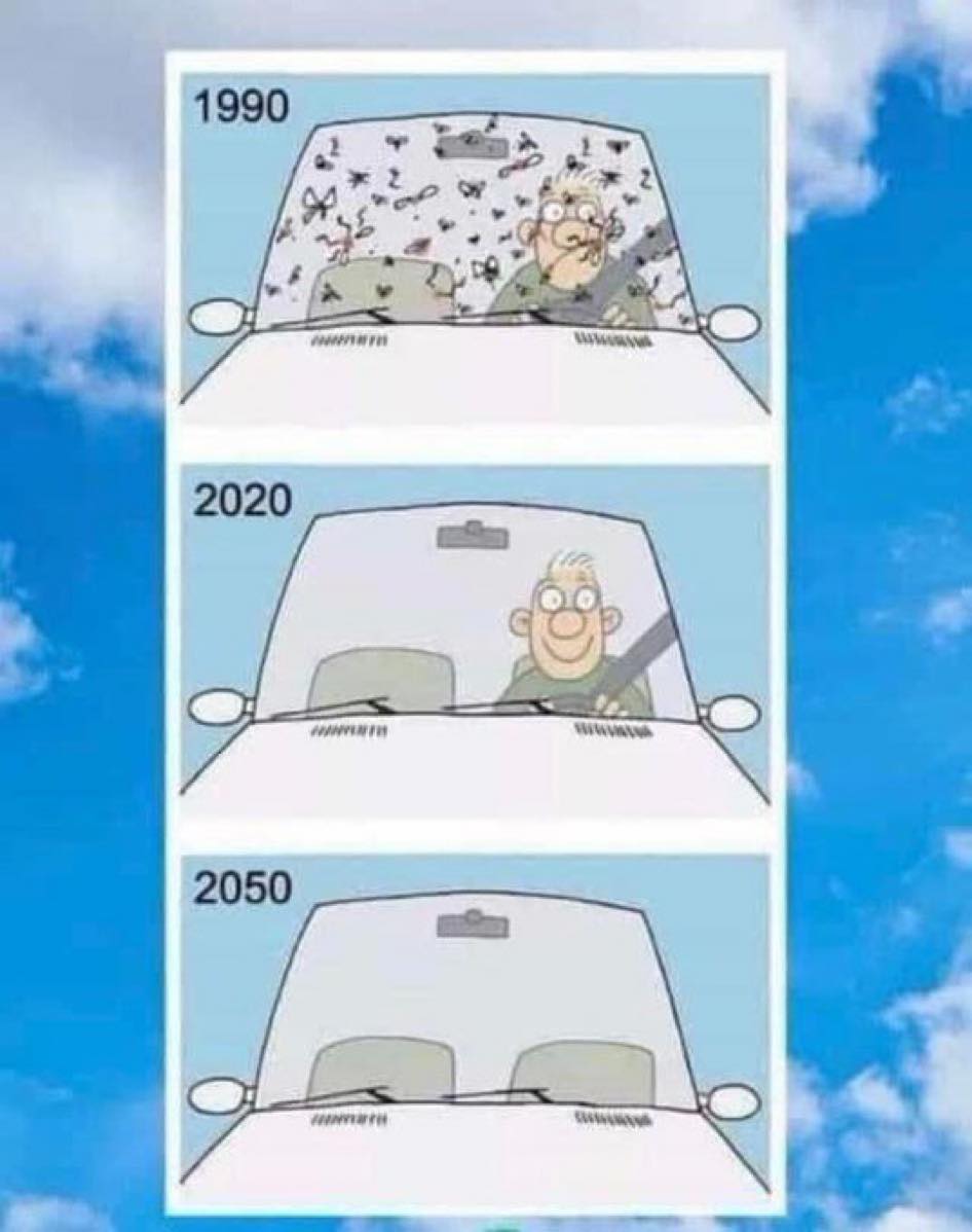 This meme is a humorous illustration of the changing times. The image depicts a driver's view through the windshield, with a humorous comparison of the driving experience in 1990, 2020, and 2050. The text "1990", "2020", and "2050" are written above each panel, indicating the time period each image represents.